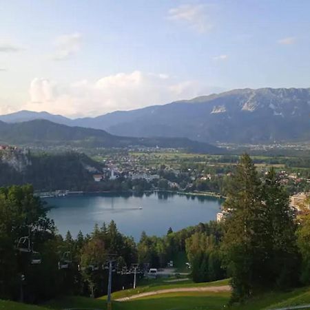 Apartment Bee Near Bled Zabreznica Εξωτερικό φωτογραφία