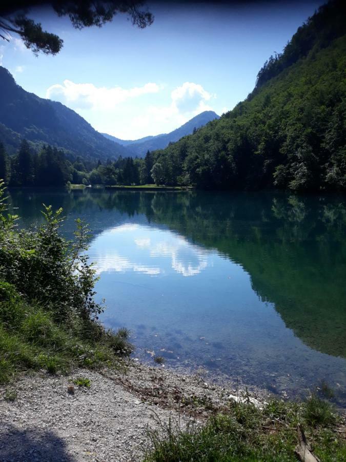 Apartment Bee Near Bled Zabreznica Εξωτερικό φωτογραφία